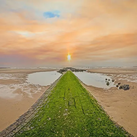 דירה With Sunny Terrace And Sea View מידלקרק