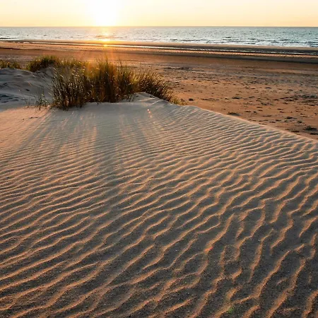 With Sunny Terrace And Sea View דירה *