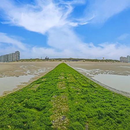 With Sunny Terrace And Sea View דירה מידלקרק