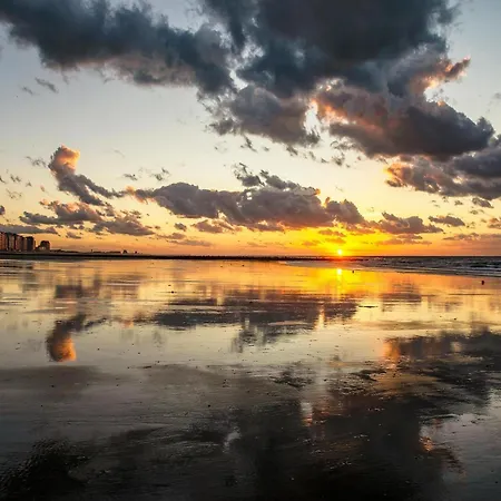 With Sunny Terrace And Sea View דירה